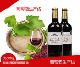 葡萄酒生產線 自釀葡萄酒設備
