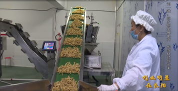 回鄉創業做電商 樂當扶貧 領頭羊